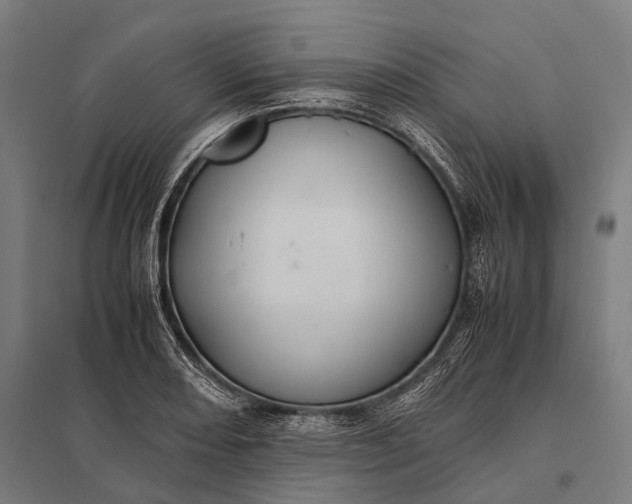 X0000097841082200803281218