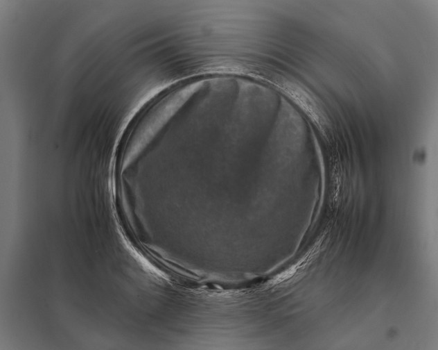 X0000097841084200803281218