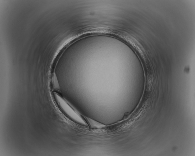 X0000097841085200803281218