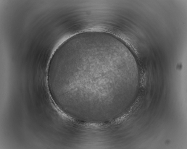 X0000097841086200803281218