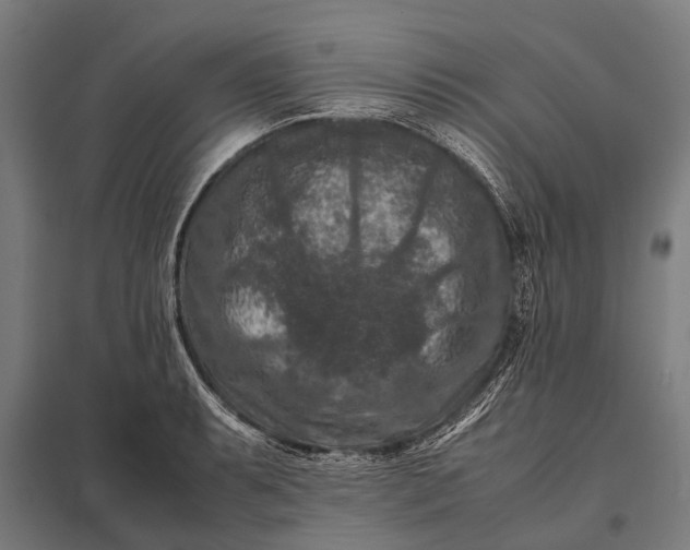 X0000097841087200803281218