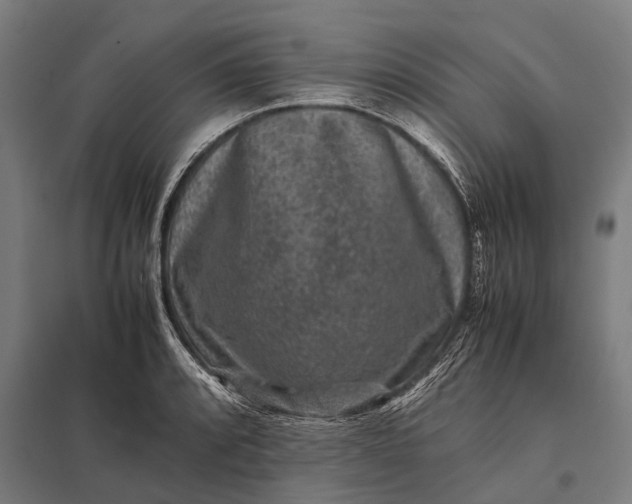 X0000097841088200803281218