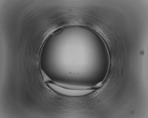 X0000097841089200803281218