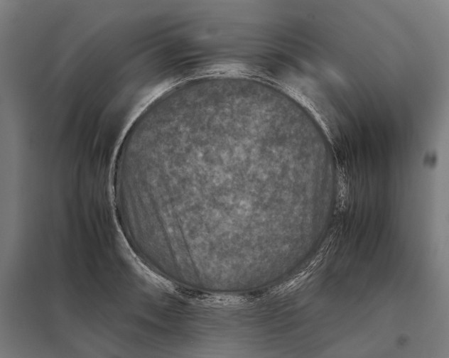 X0000097841090200803281218