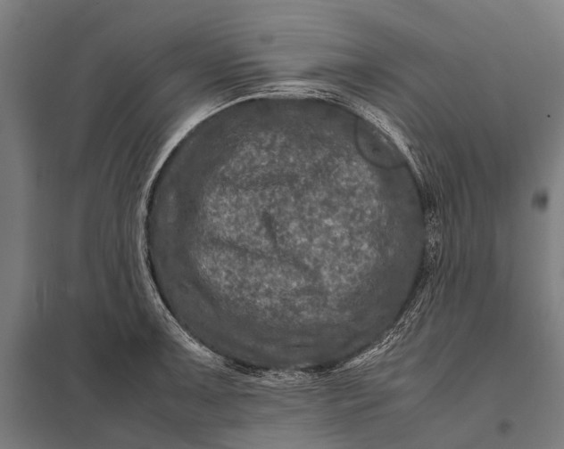 X0000097841091200803281218