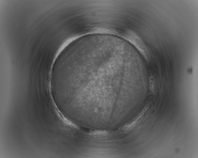 X0000097841094200803281218