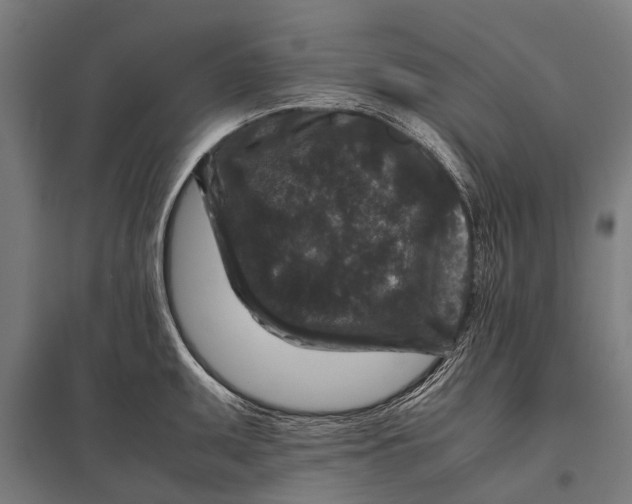 X0000097841095200803281218