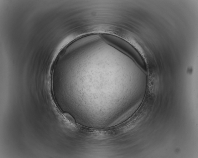 X0000097841096200803281218