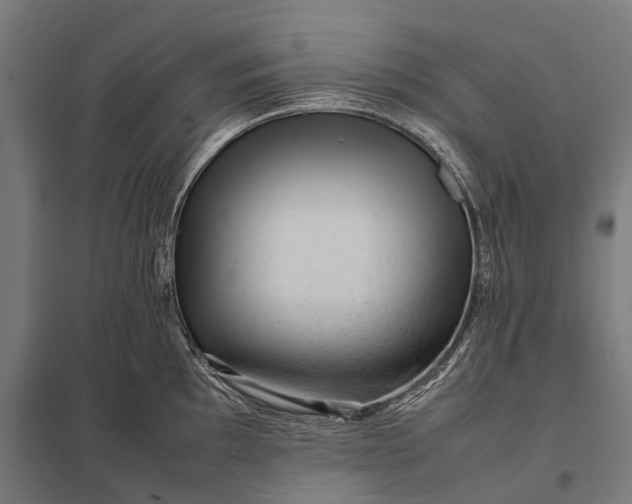 X0000097841097200803281218