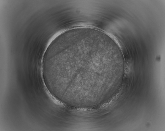 X0000097841098200803281218