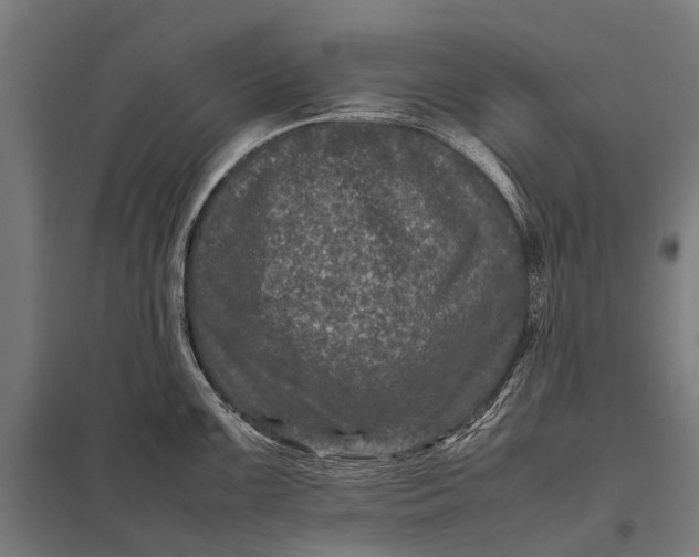 X0000097841099200803281218