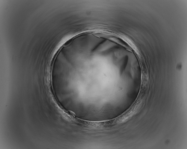 X0000097841101200803281218