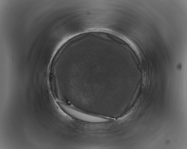 X0000097841102200803281218