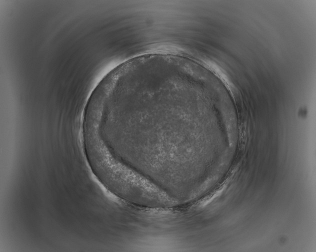 X0000097841103200803281218