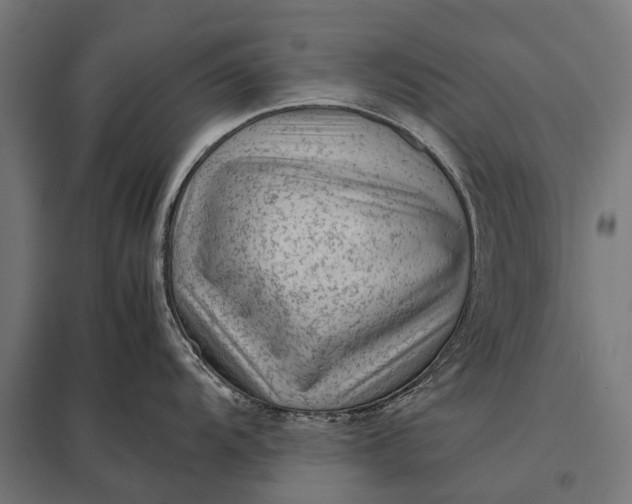 X0000097841104200803281218