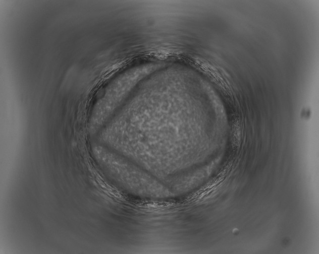 X0000097841105200803281217