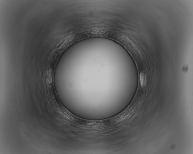 X0000097841107200803281217