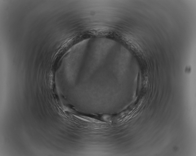 X0000097841108200803281217