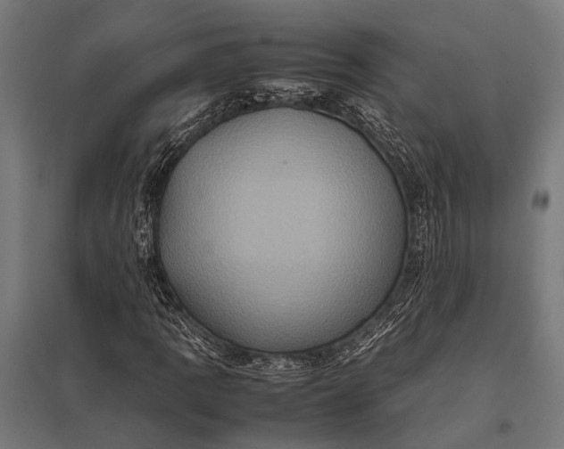X0000097841109200803281217