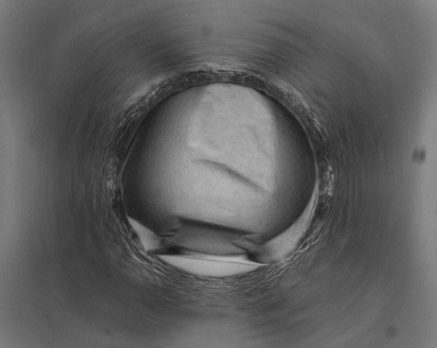 X0000097841110200803281217