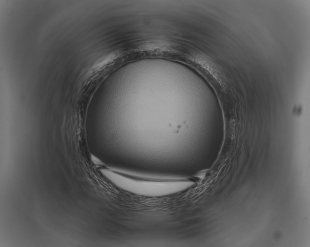 X0000097841111200803281217