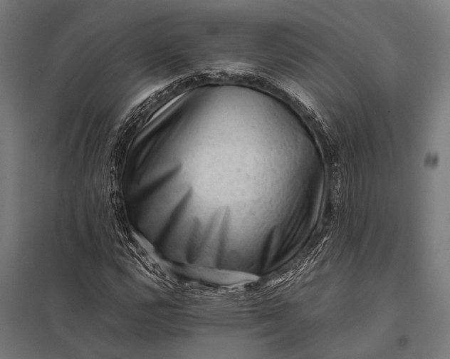 X0000097841112200803281217