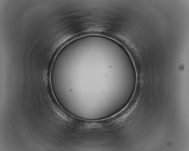 X0000097841113200803281217