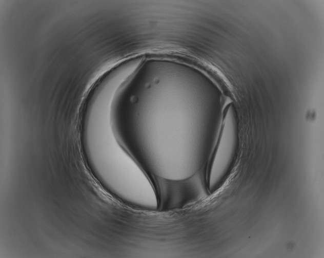 X0000097841114200803281217