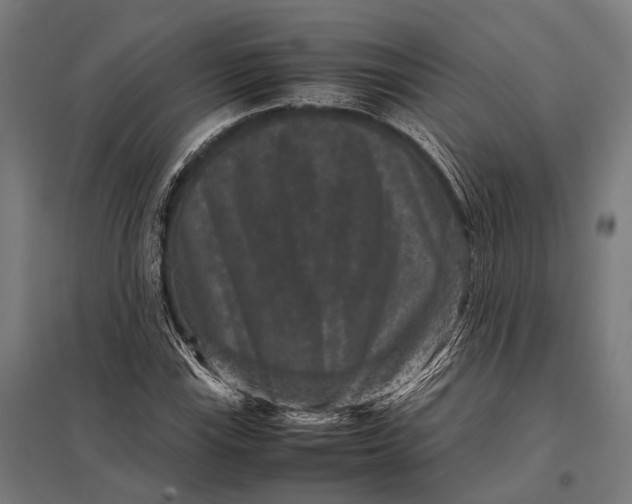 X0000097841115200803281217