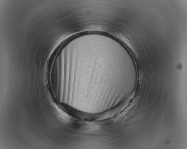 X0000097841116200803281217