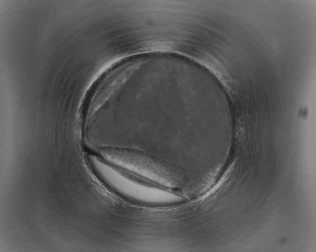 X0000097841118200803281217