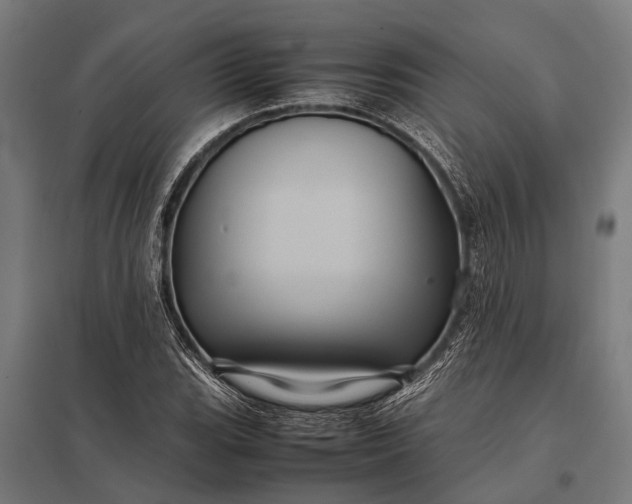 X0000097841119200803281217