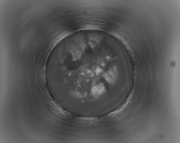 X0000097841121200803281217
