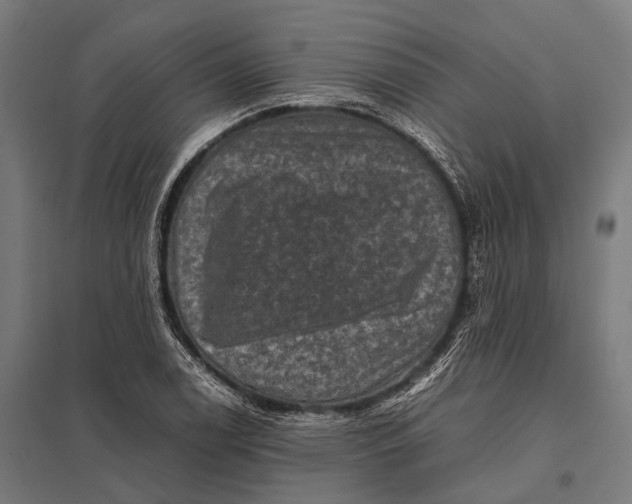 X0000097841122200803281217