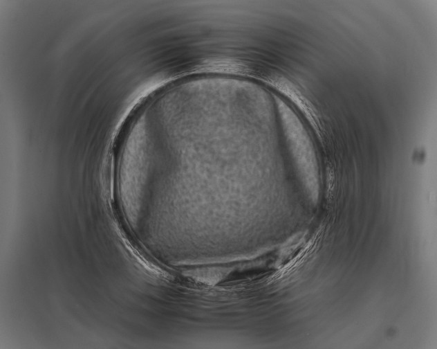 X0000097841123200803281217