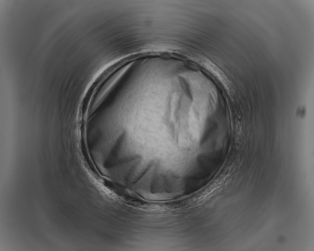 X0000097841124200803281218