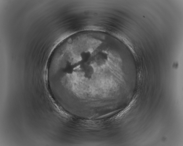 X0000097841125200803281218