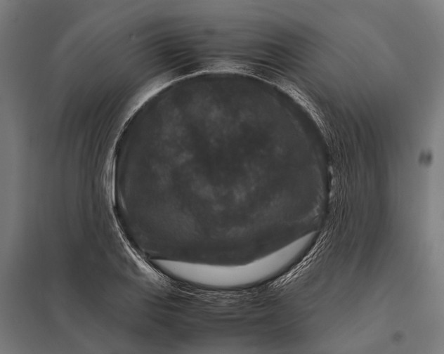 X0000097841127200803281218