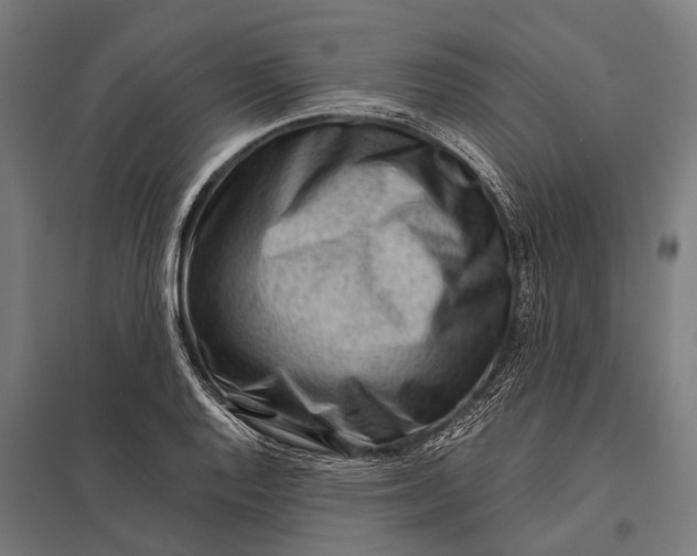 X0000097841128200803281218