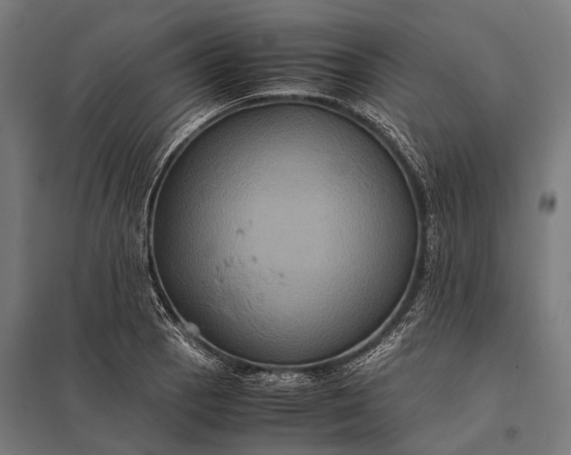 X0000097841129200803281218