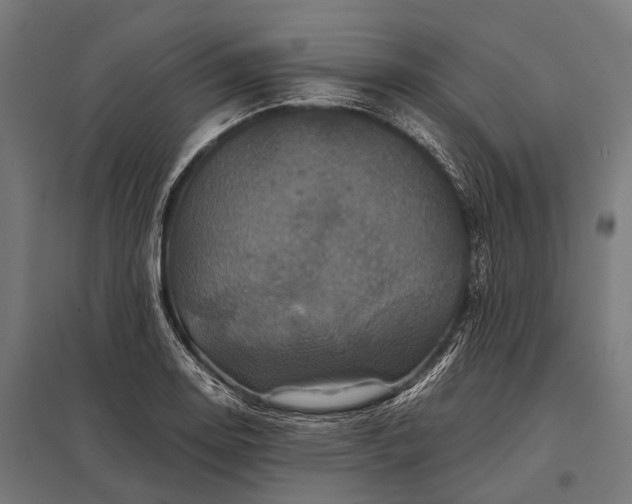 X0000097841130200803281218