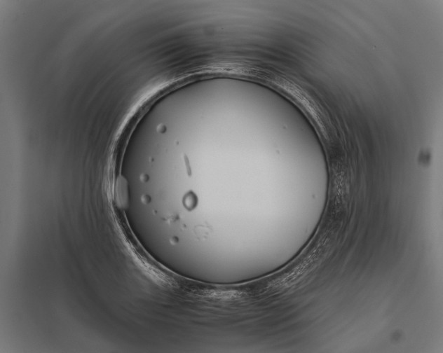 X0000097841131200803281218