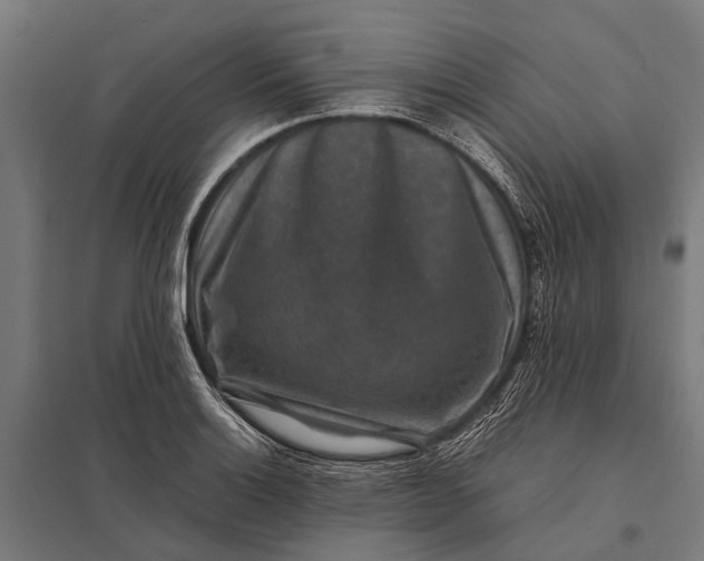 X0000097841132200803281218