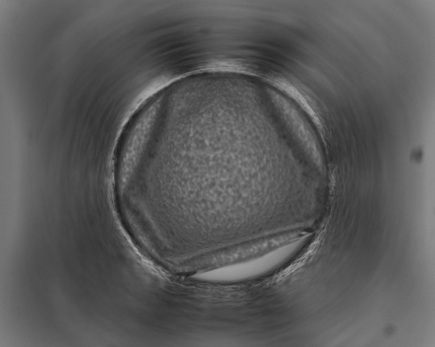 X0000097841133200803281218