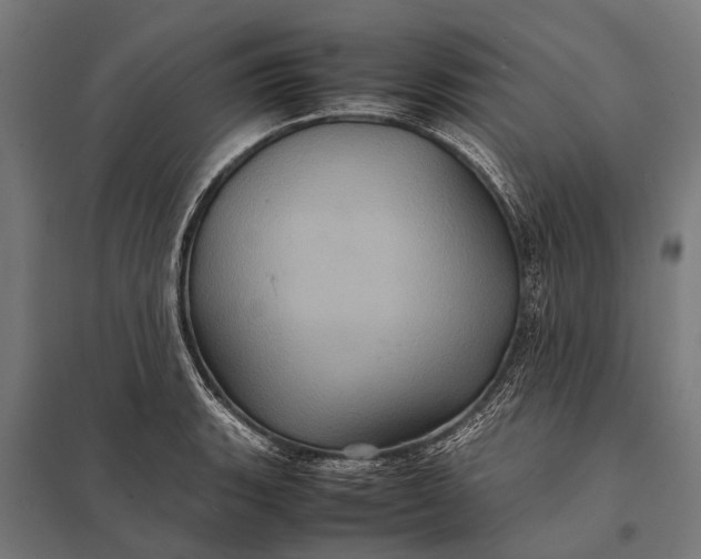 X0000097841135200803281218