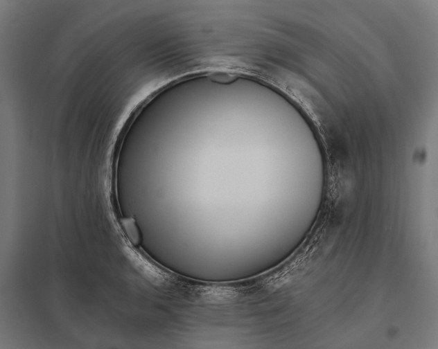 X0000097841136200803281218