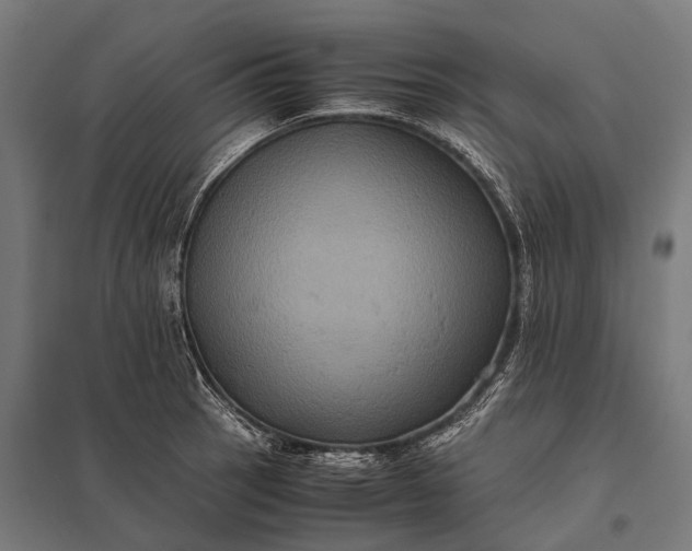 X0000097841137200803281218