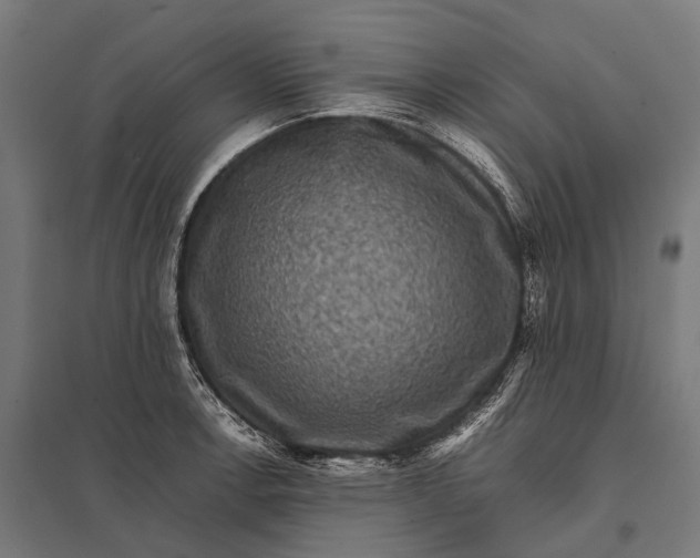 X0000097841138200803281218