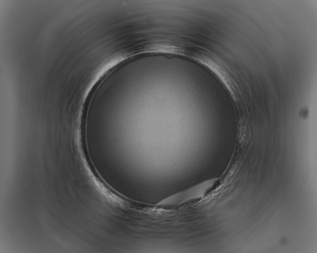X0000097841139200803281218