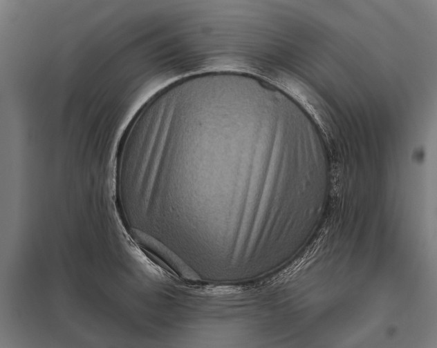 X0000097841140200803281218